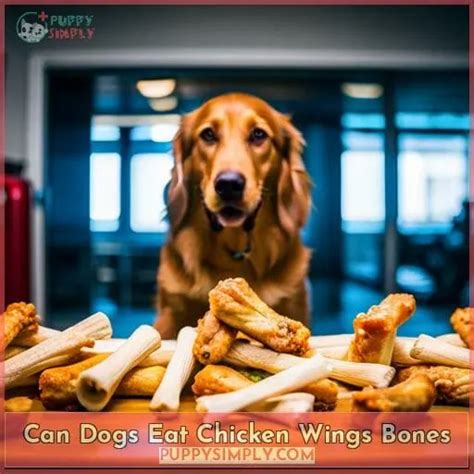 Can dogs eat wings?