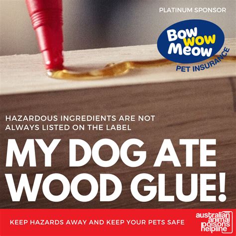 Can dogs eat wood glue?