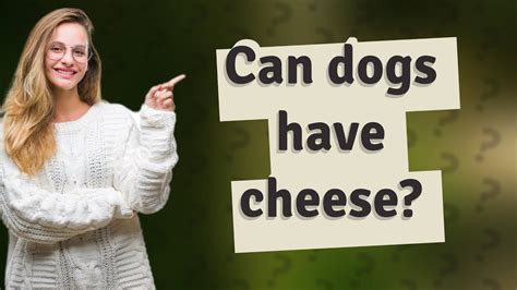 Can dogs have cheese?