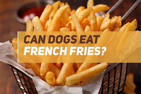 Can dogs have french fries?