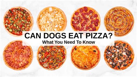 Can dogs have pizza?