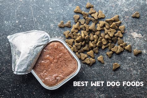 Can dogs have wet food everyday?