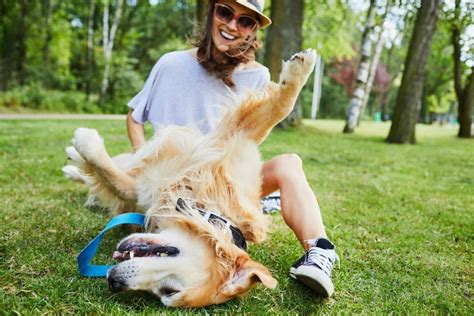Can dogs laugh if you tickle them?