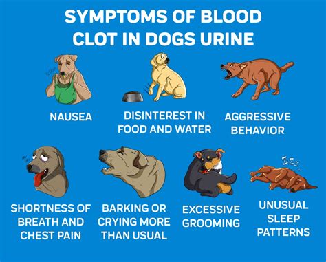 Can dogs sense blood clots in humans?