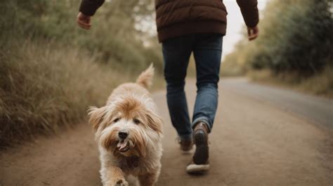 Can dogs sense good vibes?