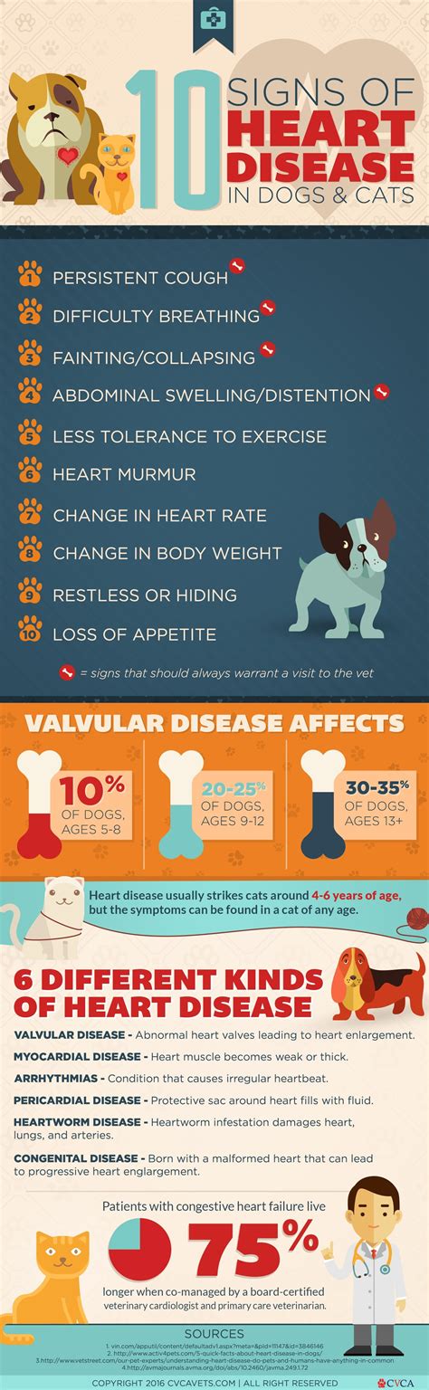 Can dogs sense heart attacks?