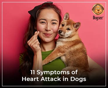 Can dogs sense heart attacks in humans?