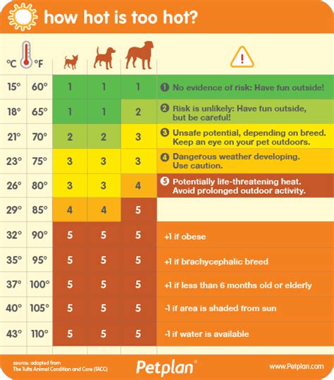 Can dogs sense if food is too hot?