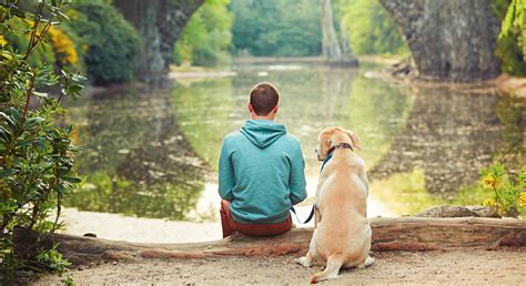 Can dogs sense love between 2 people?