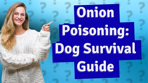 Can dogs survive onion poisoning?