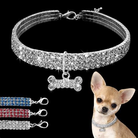 Can dogs wear human jewelry?