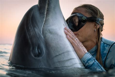 Can dolphins be in love?