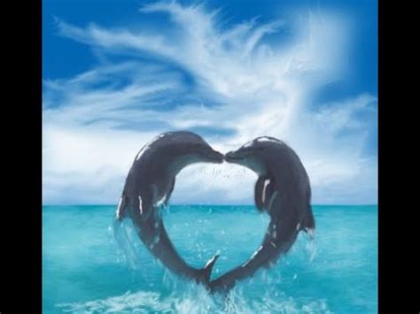 Can dolphins fall in love?