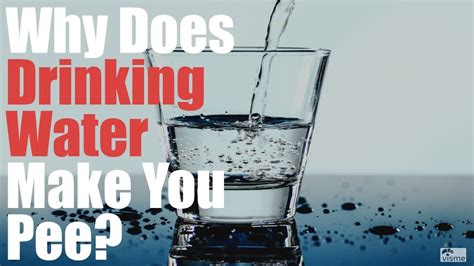 Can drinking too much water make you pee a lot?