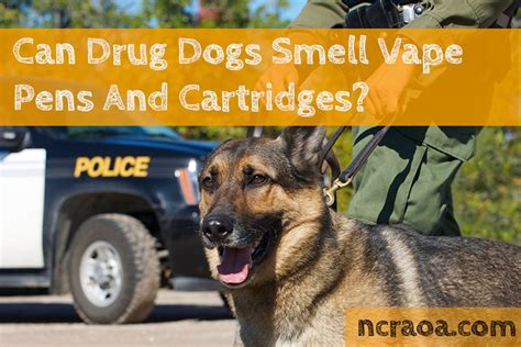 Can drug dogs smell Vapes?