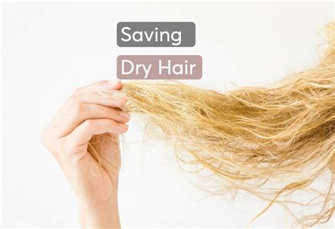 Can dry damaged hair be restored?