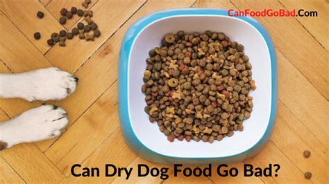 Can dry dog food be bad?