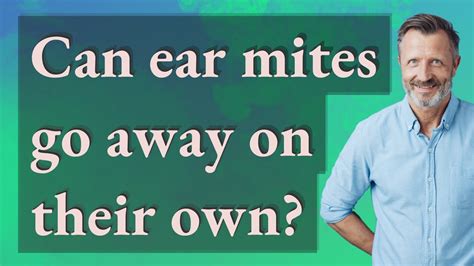 Can ear mites go away without treatment?