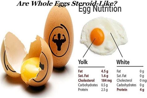 Can eggs act like steroids?