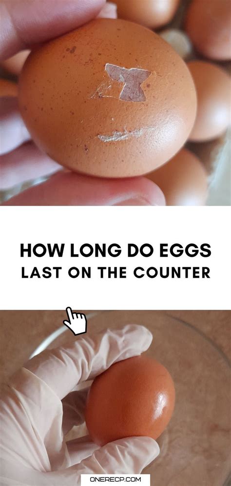 Can eggs be left out?
