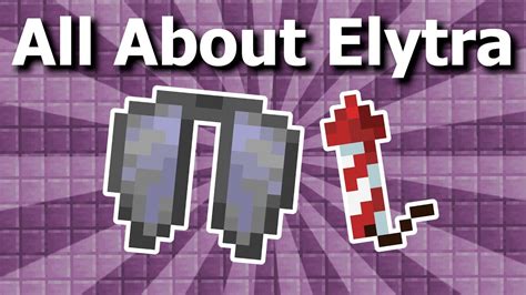 Can elytra fully break?