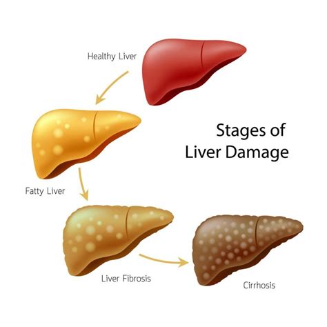Can emotional trauma cause liver problems?