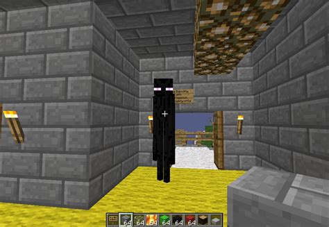 Can enderman teleport into your house?