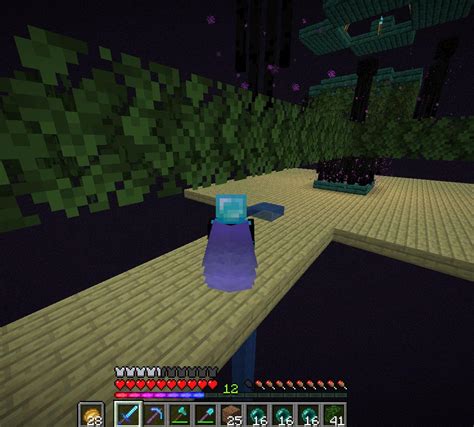 Can enderman teleport on top of leaves?