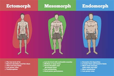 Can endomorphs become Ectomorphs?