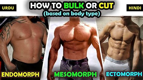 Can endomorphs get ripped?