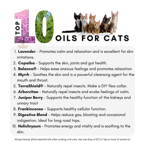 Can essential oils calm cats?