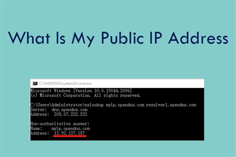 Can everyone see your public IP?