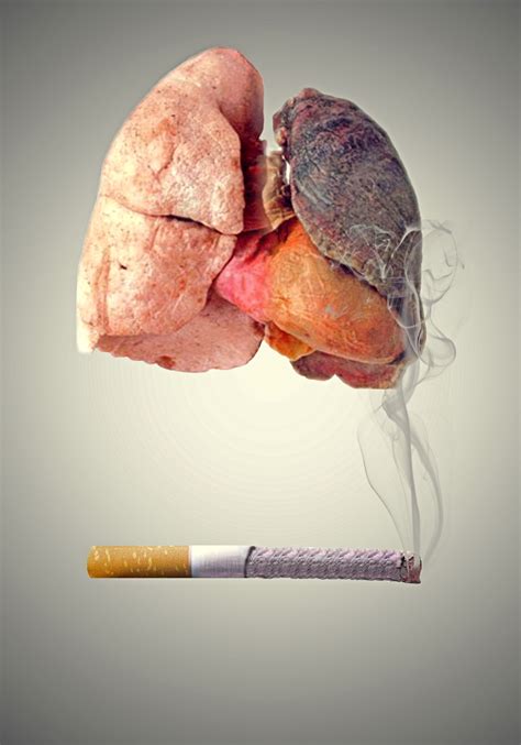 Can ex-smokers be healthy?