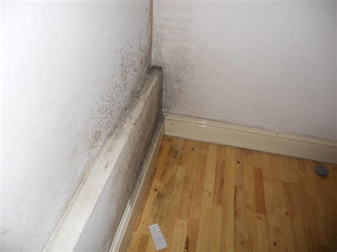 Can external insulation cause damp?