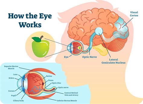 Can eye problem affect the brain?