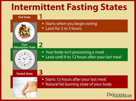 Can fasting heal your body?