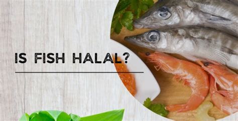 Can fish be halal?