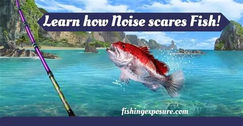 Can fish hear you?