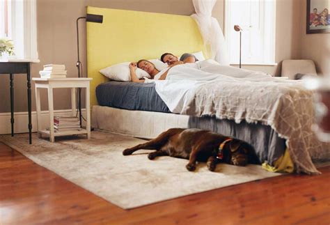 Can fleas jump from floor to bed?
