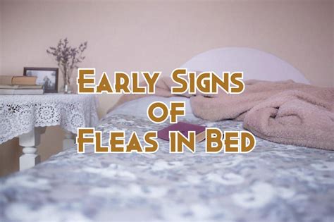 Can fleas live in your bed?
