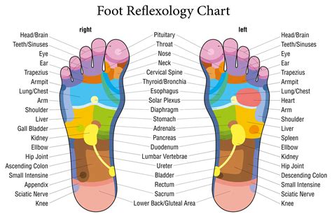 Can foot reflexology diagnose illness?