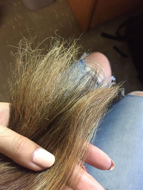 Can fried hair be repaired?