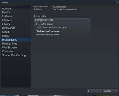 Can friends watch you play games on Steam?
