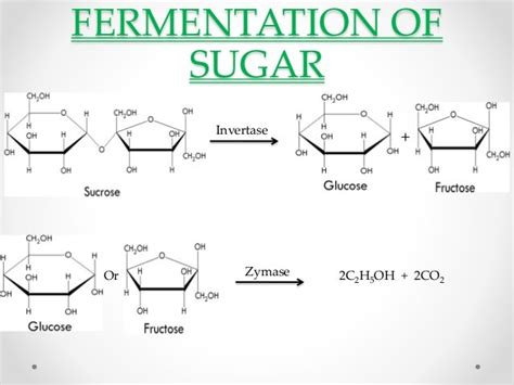 Can fructose be converted to ethanol?