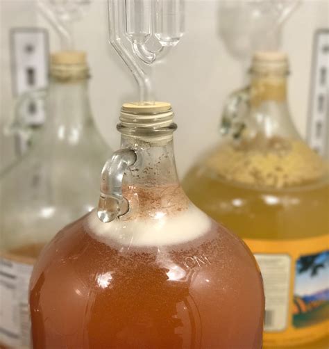 Can fruit ferment into alcohol without yeast?