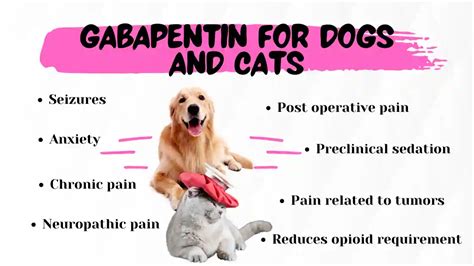 Can gabapentin cause depression in cats?