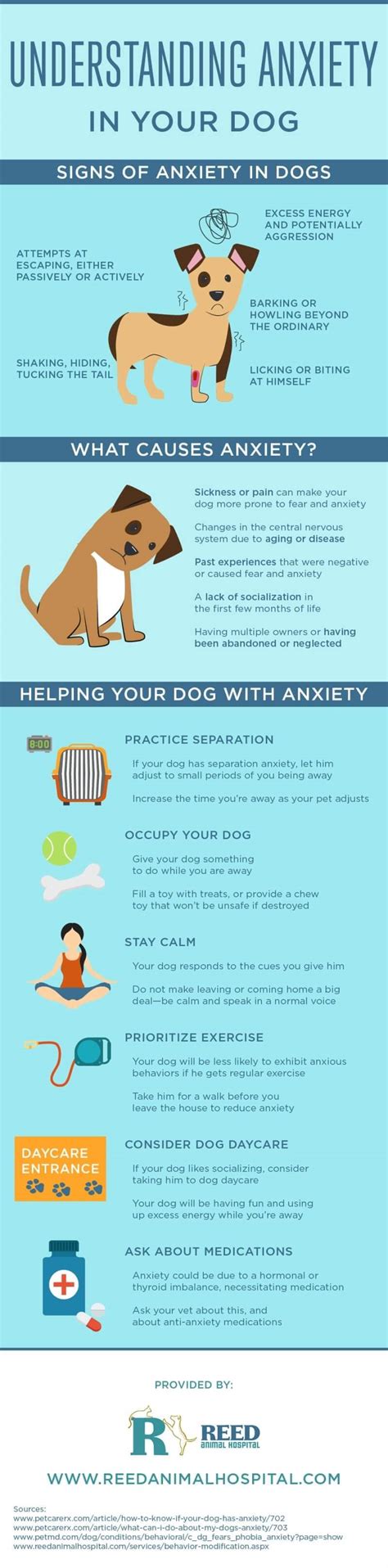 Can getting a dog trigger anxiety?