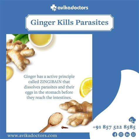 Can ginger kill parasites?