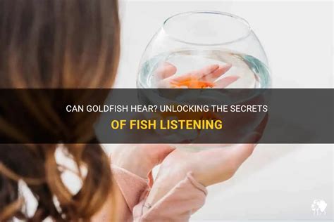 Can goldfish hear?