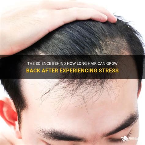 Can hair grow back after stress?